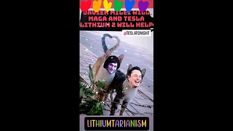 LITHIUMTARIANISM - TESLA LITHIUM 2: ARGENTINA? 🤖🧡