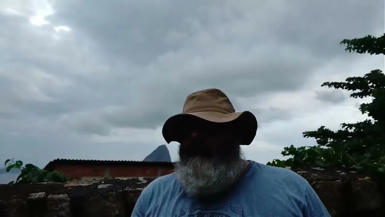 The Maze