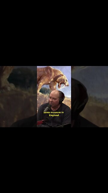 Lost Saber-Toothed Tiger Skull - A Tale of Lost History | Joe Rogan Experience #JRE #1918