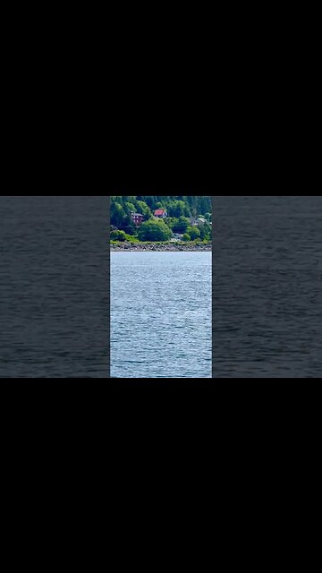 Wait for it! #blowhole & giant #whale 🐳 in #alaska #shorts