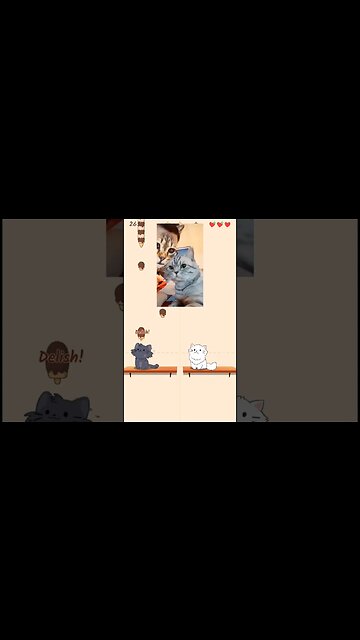 Cat song therefore i am part 2 #shorts #music #cat