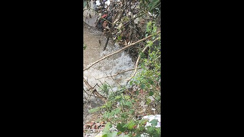 stream so fresh waterfail