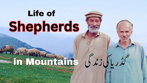 Shepherd life in Gilgit Baltistan || the Secret World of Shepherds in mountains || Seema Batool