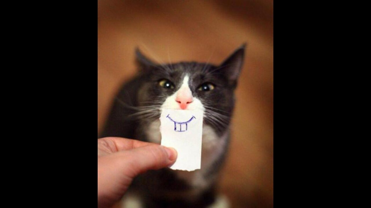 Short videos Smile more often 1