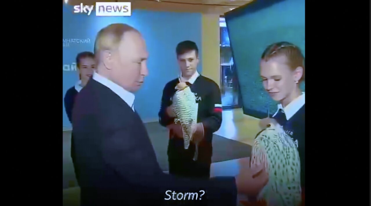 Volunteer Asks For Putin's Approval to Name a Falcon "Storm"