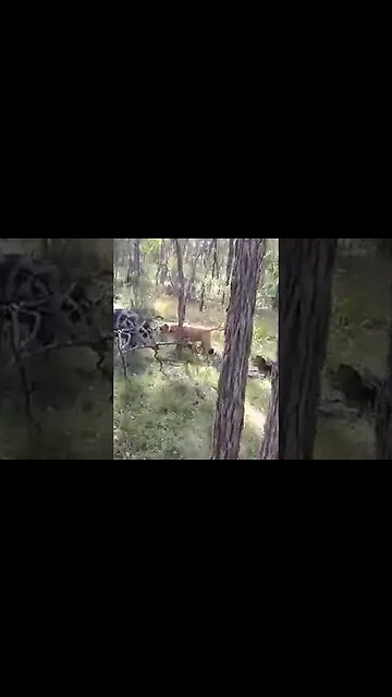 At my baby sisters property..