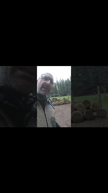 Tomahawk throwing at Clear Creek camp at Philmont Scout Ranch