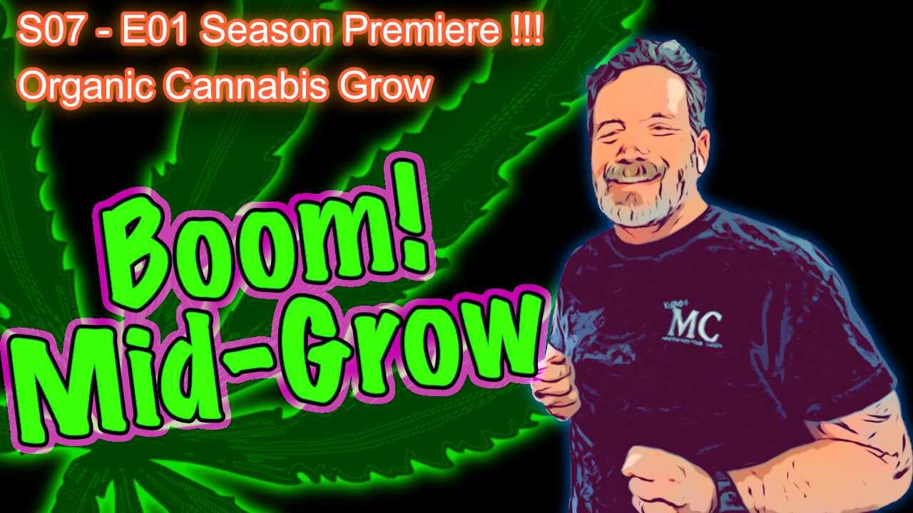 S07 E01 - Season Premiere - Grow Cannabis Indoors - Rocket Seeds - Skunk, Shiskaberry, Wedding Cake