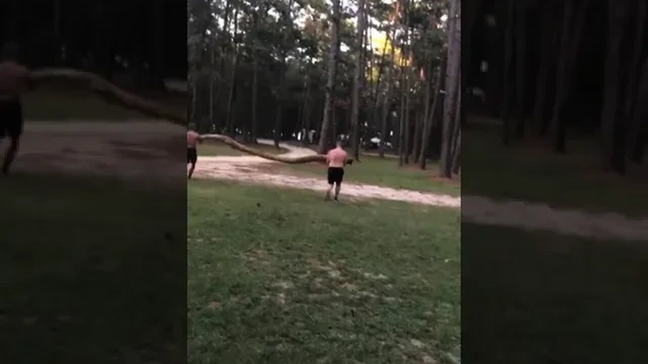 Wood For Fire tiktok jasperfazio