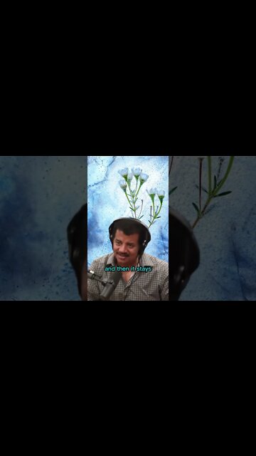 What is an Ice Age? Neil Degrasse Tyson and Joe Rogan #shorts