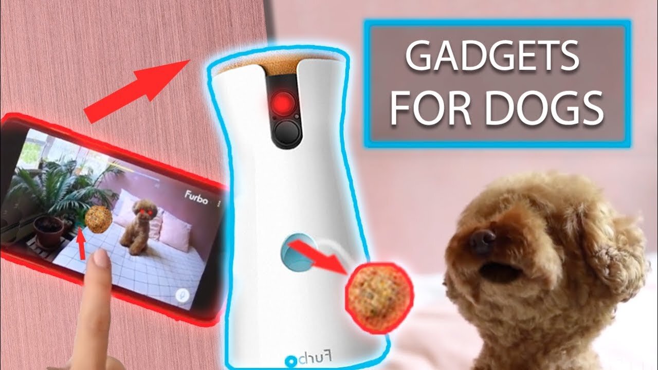 10 COOLEST Amazon GADGETS for DOGS That Are Worth Buying