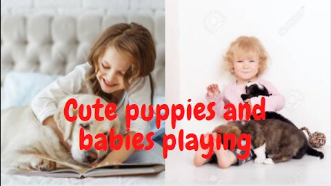 Cute puppies and babies playing