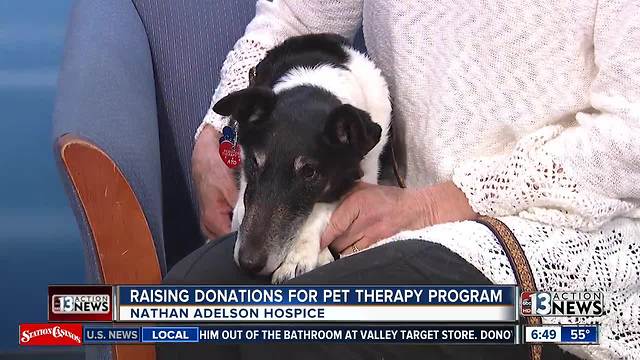 Nathan Adelson Hospice raising donation for shelter animals