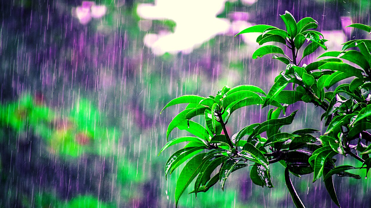 Beautiful Piano Music with Rain Sounds ,Relaxing Music ,sleep,meditation,music.