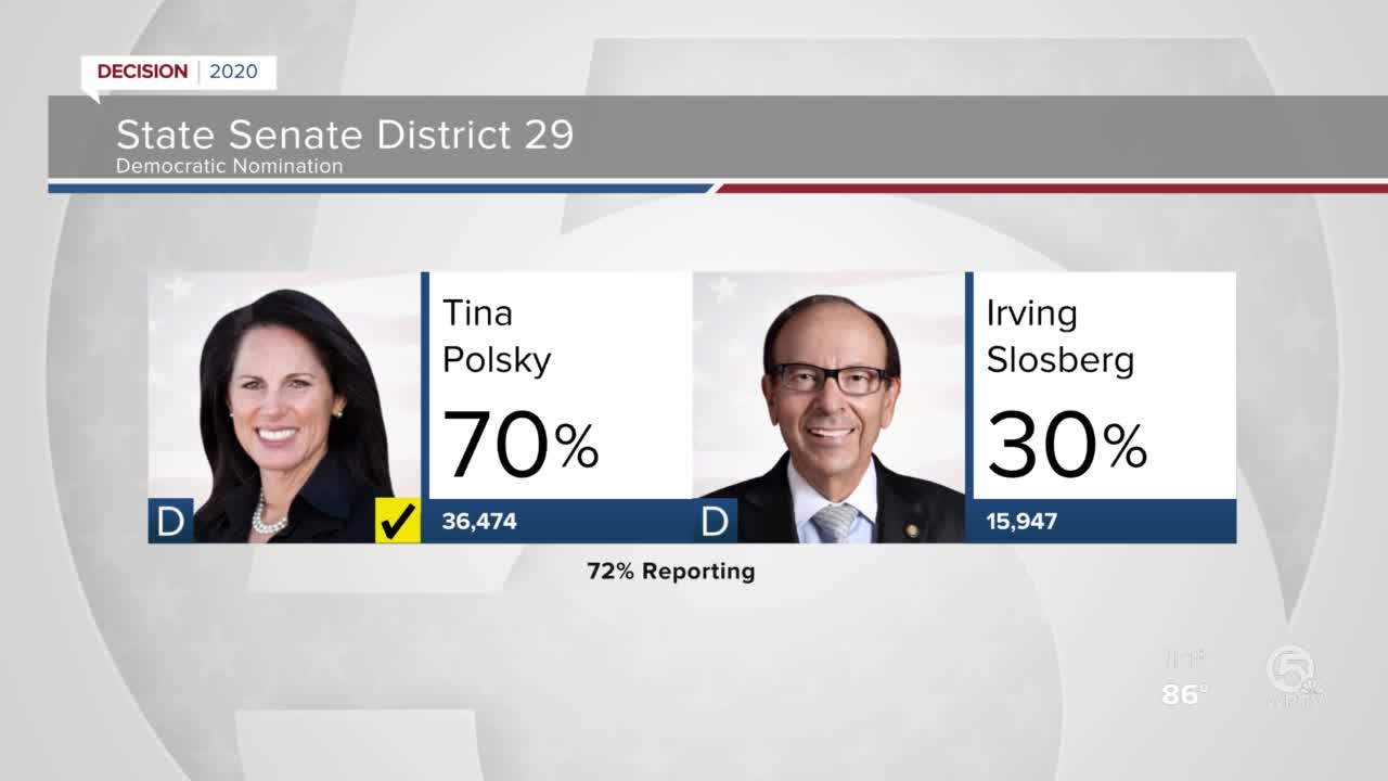 Tina Polsky wins Democratic race for Senate District 29