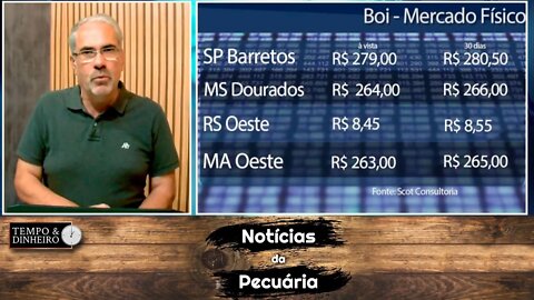 Boi gordo abaixo de R$300 na B3. Preços vão reagir ou perder vigor?