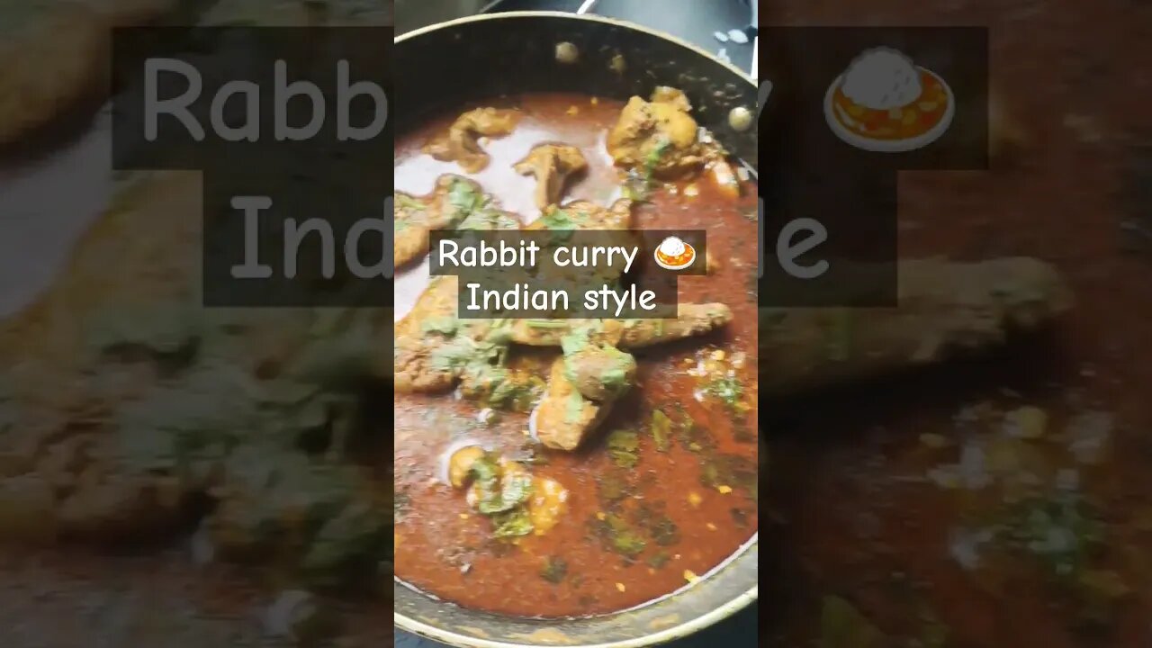 Rabbit curry Indian style in Spain🍛 #rabbit #rabbitcurry #curry #chickencurry #madrid #spain #europe