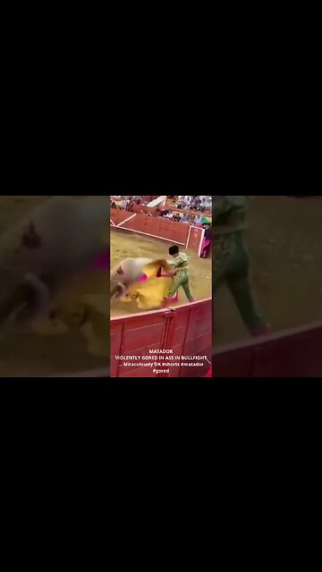 MATADOR VIOLENTLY GORED IN ASS IN BULLFIGHT #shorts #matador #bullfight #corrida #españa