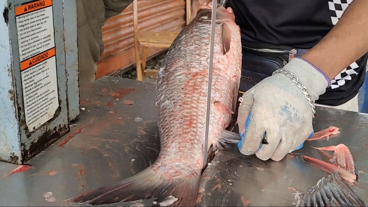 Giant Rohu Fish Fast Cutting By Machine In Fish Market l Fish Cutting Skills