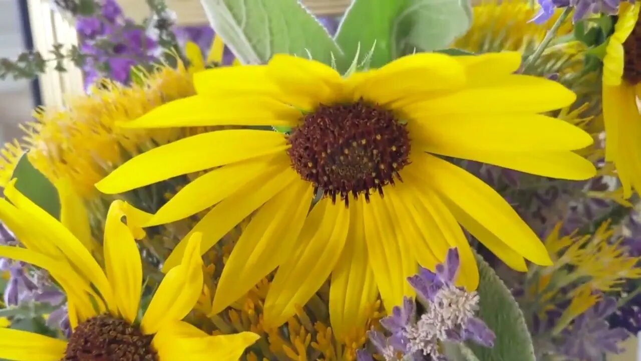 The Delights of Autumn | Wildflowers & Pumpkin Seeds