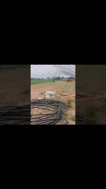 Greenhouse Demolished to Make Way for Staple Crops