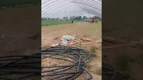 Greenhouse Demolished to Make Way for Staple Crops