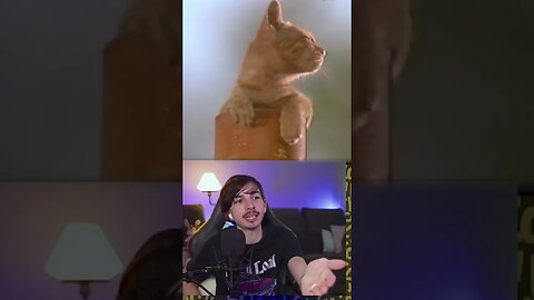 Locking a Puppy and a Kitten in with the Chickens