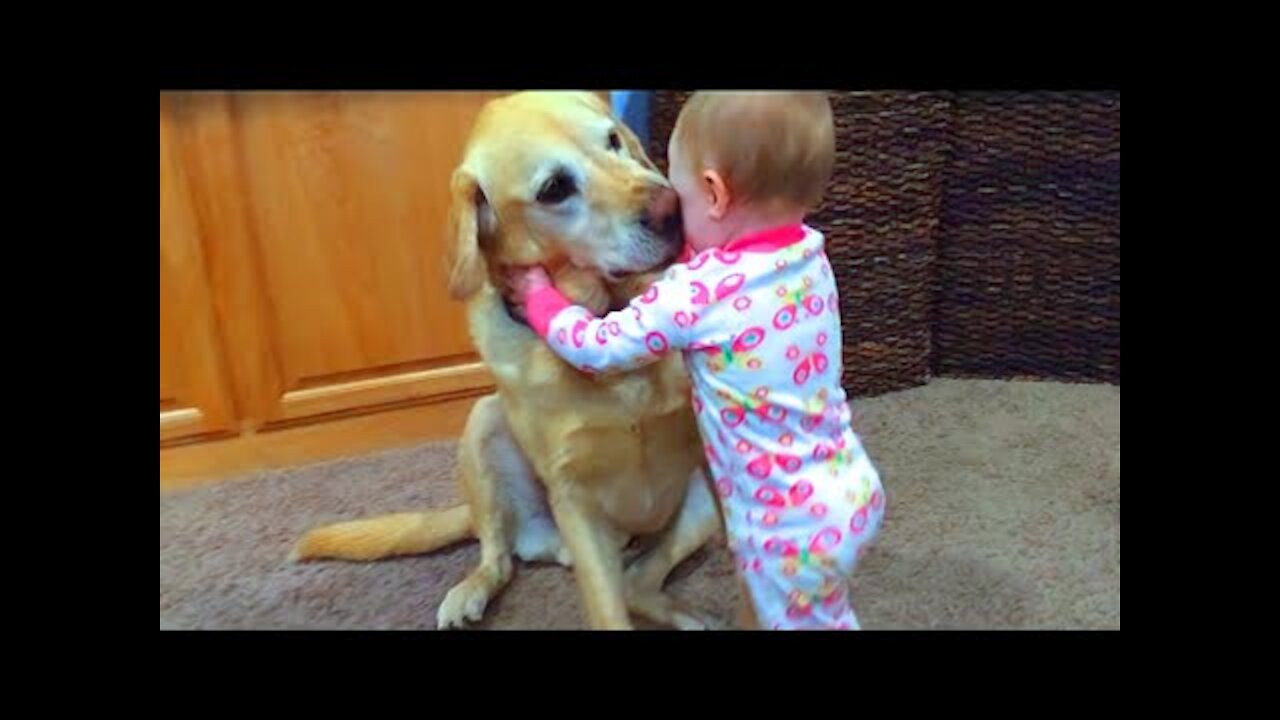 Cute Babies Playing With Dogs Compilation - Funny Baby And Pets