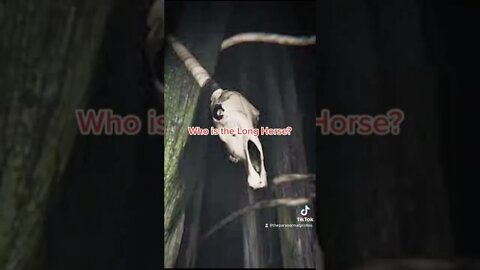 Who is the long horse?