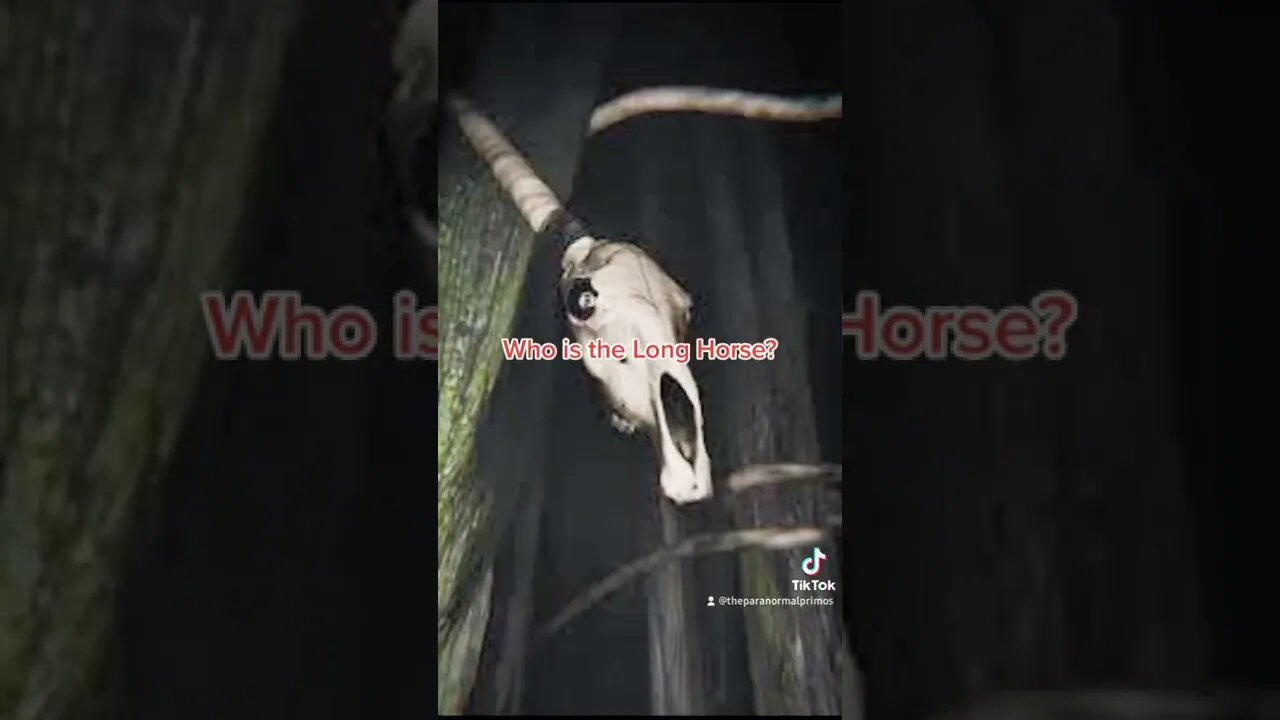 Who is the long horse?