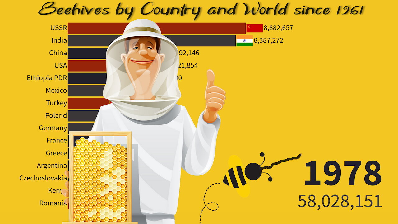 🐝 Beehives by Country and World since 1961