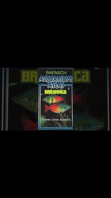 The Best Book on Fish Keeping (5 Actually)!