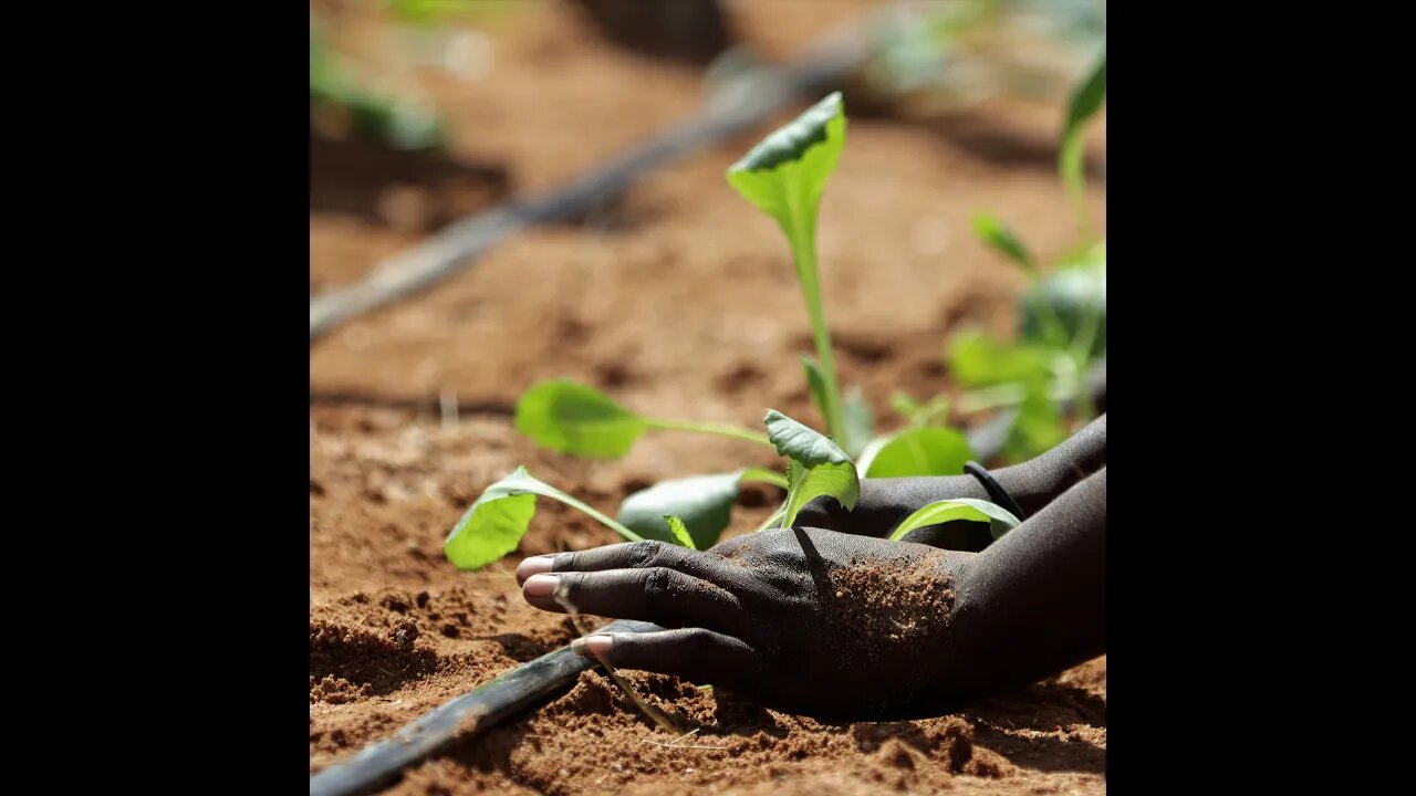 Otjimboyo Community Garden - Alternative Food Security at Brandberg