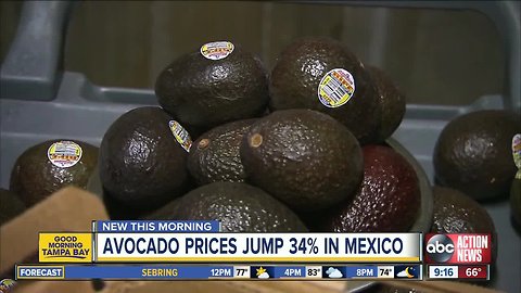 Avocado prices jump 34% in Mexico