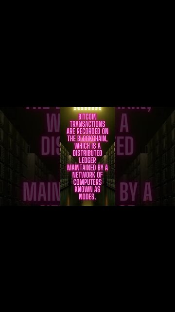 Transaction Transparency: The Power of the Bitcoin Blockchain