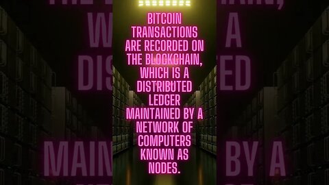 Transaction Transparency: The Power of the Bitcoin Blockchain