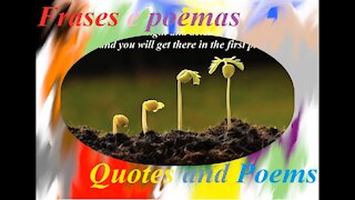 Even a seed needs time to grow, you will win! (Motivation) [Quotes and Poems]