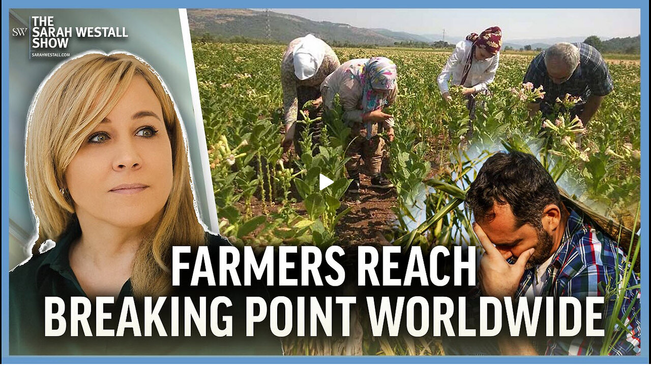 Surging Farmer Protests, Suicides High, Global Food Chain Under Attack w/ Marjory Wildcraft