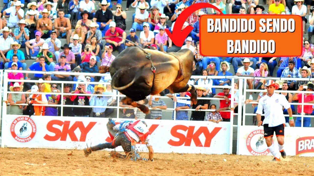 Conheça o lendário Touro Bandido: o animal mais temido dos rodeios