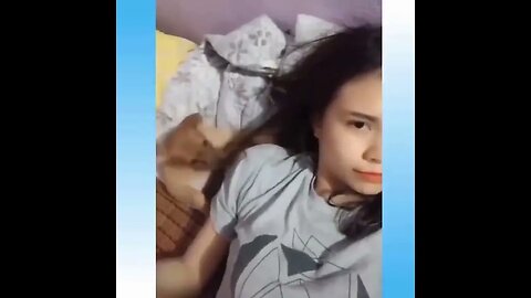 Funny Dog and Cats of 2023 #shortspetsvideos #pet #funnyvideos