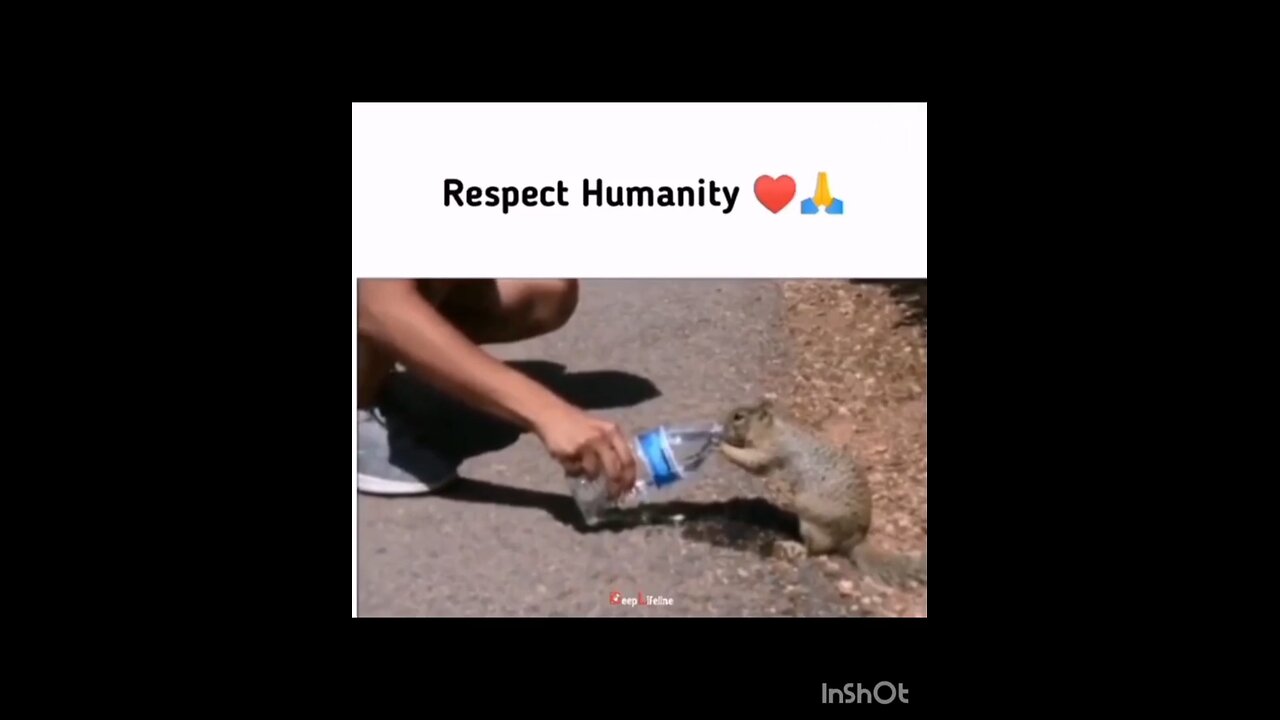 respect 3