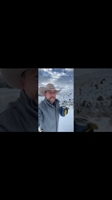 How Many Acres per Cow