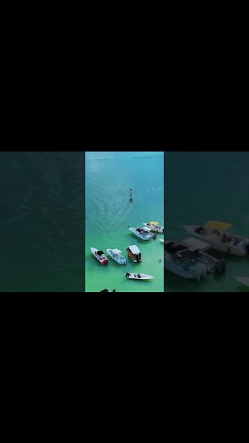 Islamorada Sandbar, The real Margaritaville #islamorada #keylargo #short