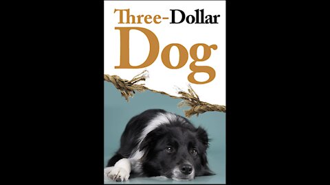 Three Dollar Dog