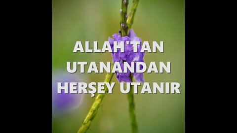 #menkıbe EN GÜZEL MENKIBELERDEN BİR BÖLÜM / "ALLAH'TAN UTANANDAN HERŞEY UTANIR"