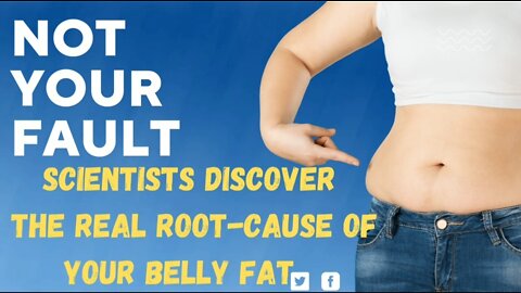 What is the root-cause of your belly Fat? and what is the solution