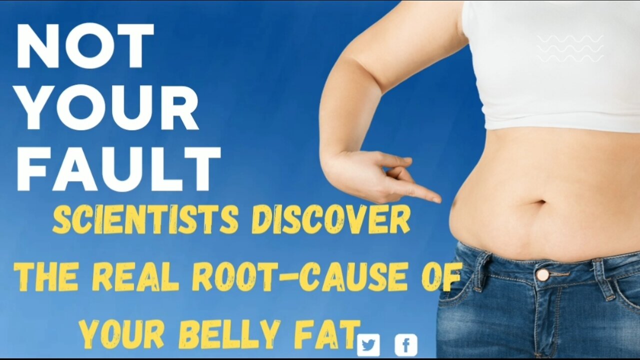 What is the root-cause of your belly Fat? and what is the solution