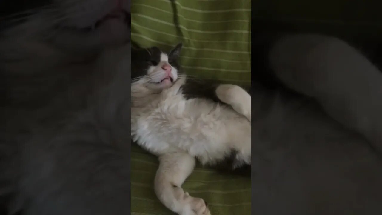 Sonhando com ela e foi essa vergonha #shorts