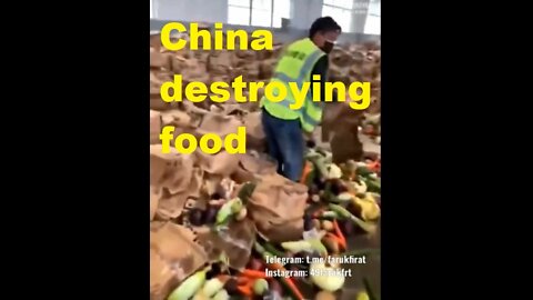 China destroying food to starve their own people