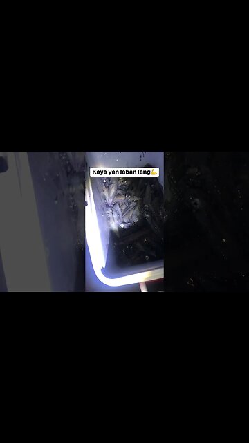 Fresh seafood-philippines #seafood #fresh